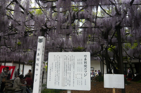 竹鼻まつり1.jpg