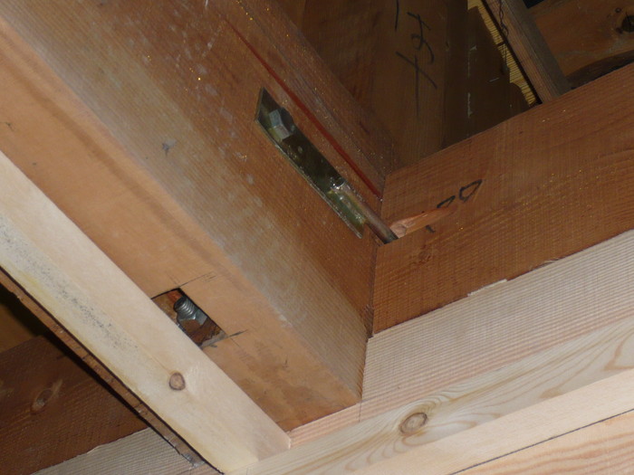 P1050035.jpg