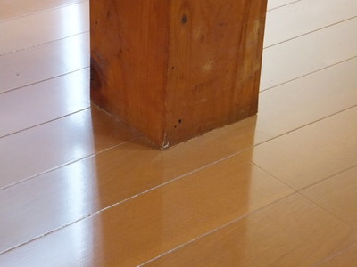 DSCF9440.jpg