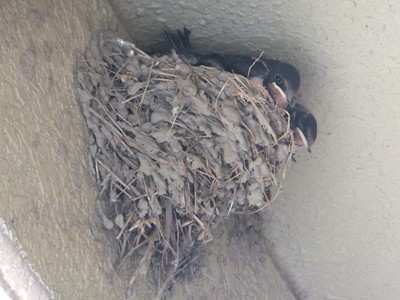 DSCF6518.jpg