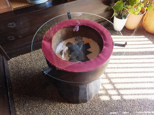 DSCF7622修.jpg