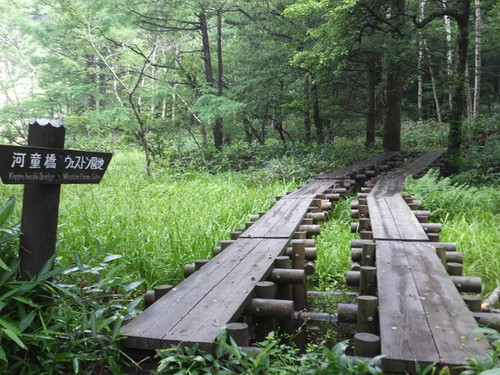 DSCF1207.jpg