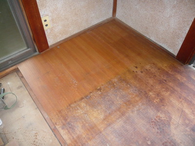 P1060265a.jpg