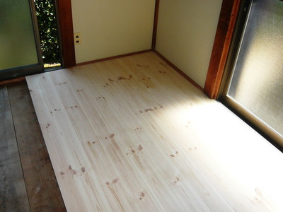 P1060381cuta.jpg