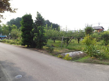 mkDSCF2774.jpg