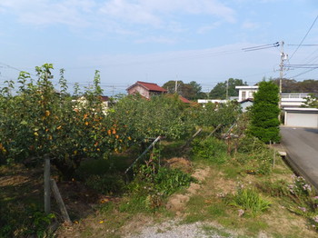 mkDSCF2779.jpg