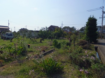 mkDSCF3559.jpg
