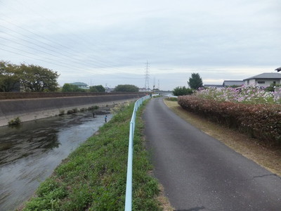 DSCF1437.jpg