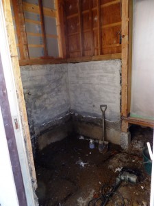 DSCF8647
