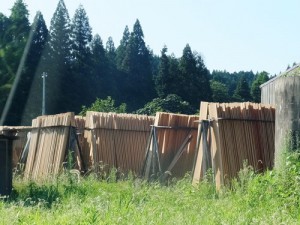 DSCF9577-20