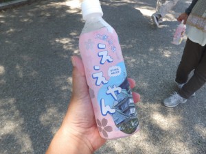 ctlos15DSCF8917