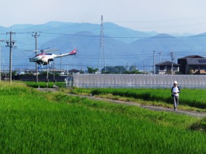 heri-coDSCF9855-2