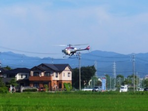 heri-coDSCF9858-2