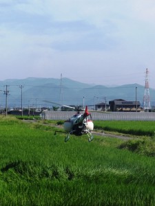 heri-coDSCF9865-2