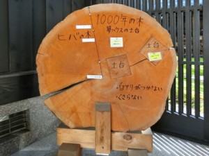 ymptrgCIMG0481-001