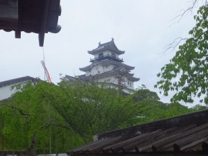 kgwctlDSCF7831shuc2