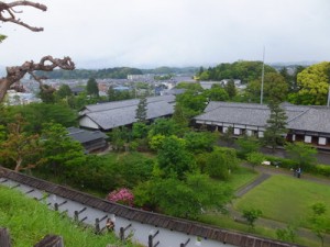 kgwctlDSCF7841