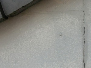 pgnchCIMG1738c1