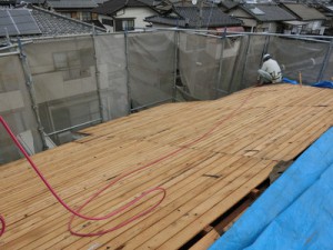 yrpvpCIMG0695