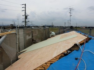 yrpvpCIMG0735