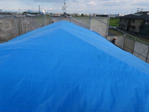 yrpvpIMG_0995