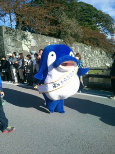 ｺﾄﾁｬﾝKIMG0885高松市