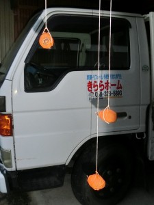 CIMG2244cc