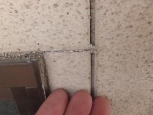 pfstmDSCF9219