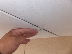 pfstmDSCF9222