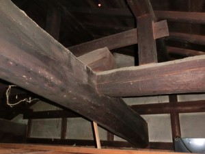 ohimhCIMG3956c