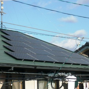 P1100617-1cu