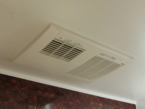 CIMG6210c