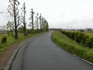 CIMG6226