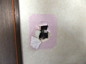 electric  switch1