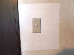 electric  switch5